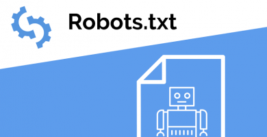 robots wordpress